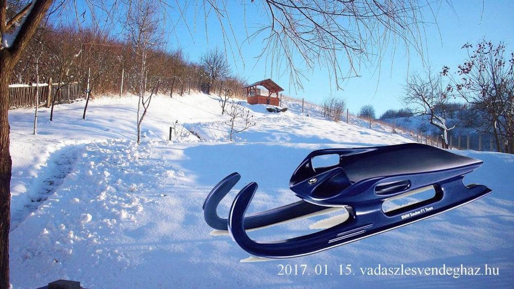 Vadaszles Vendeghaz Bukkszentmarton Ngoại thất bức ảnh